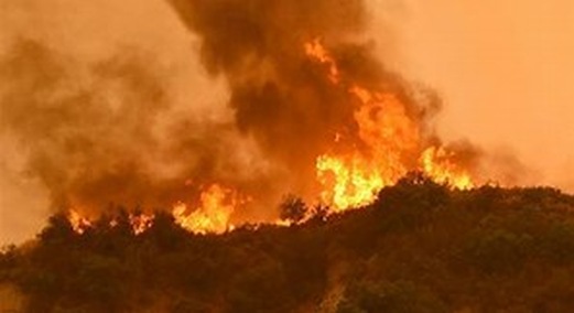 wildfire picture